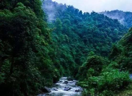 “你好沈阳,天辽地宁”驻沈领事官员和外籍人士走进浑南棋盘山冰雪大世界